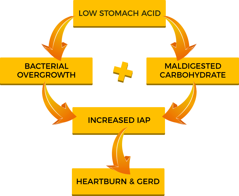 Acid Reflux diagram