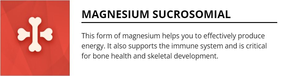 Magnesium Sucrosomial
