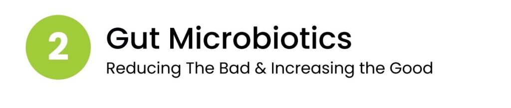 Bioptimizers 2 Gut microbiotics
