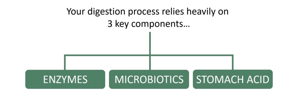 Gut Health 3 key components