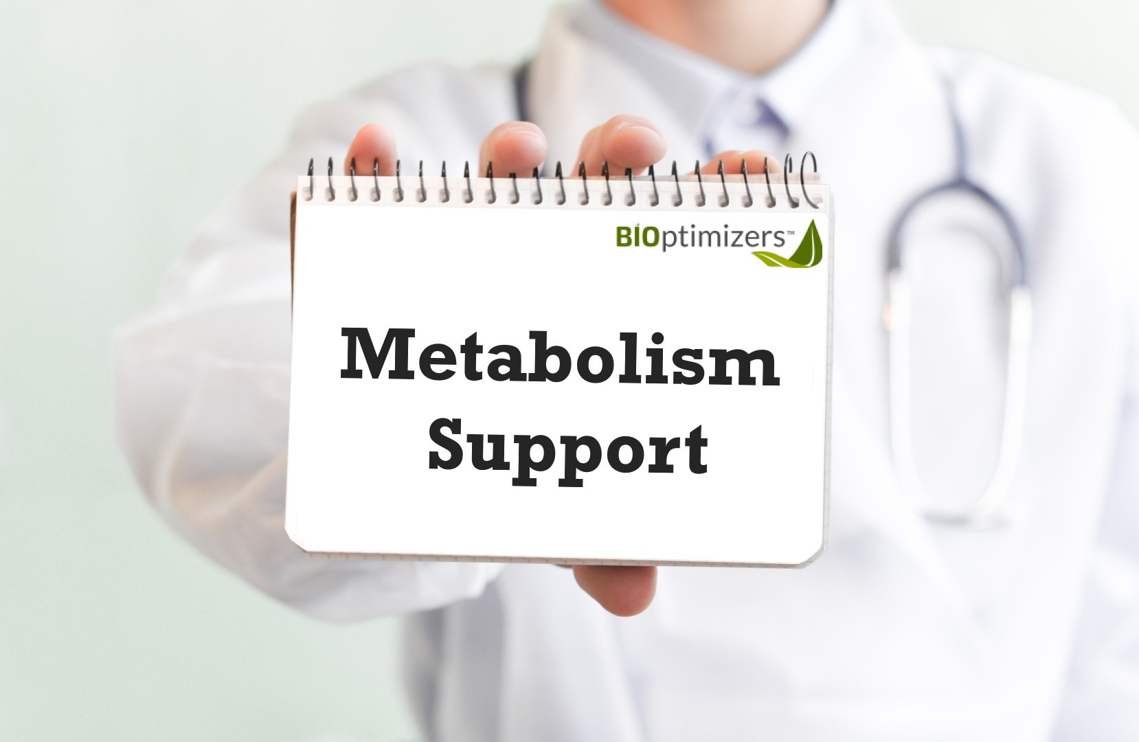 bioptimizers metabolism supplements