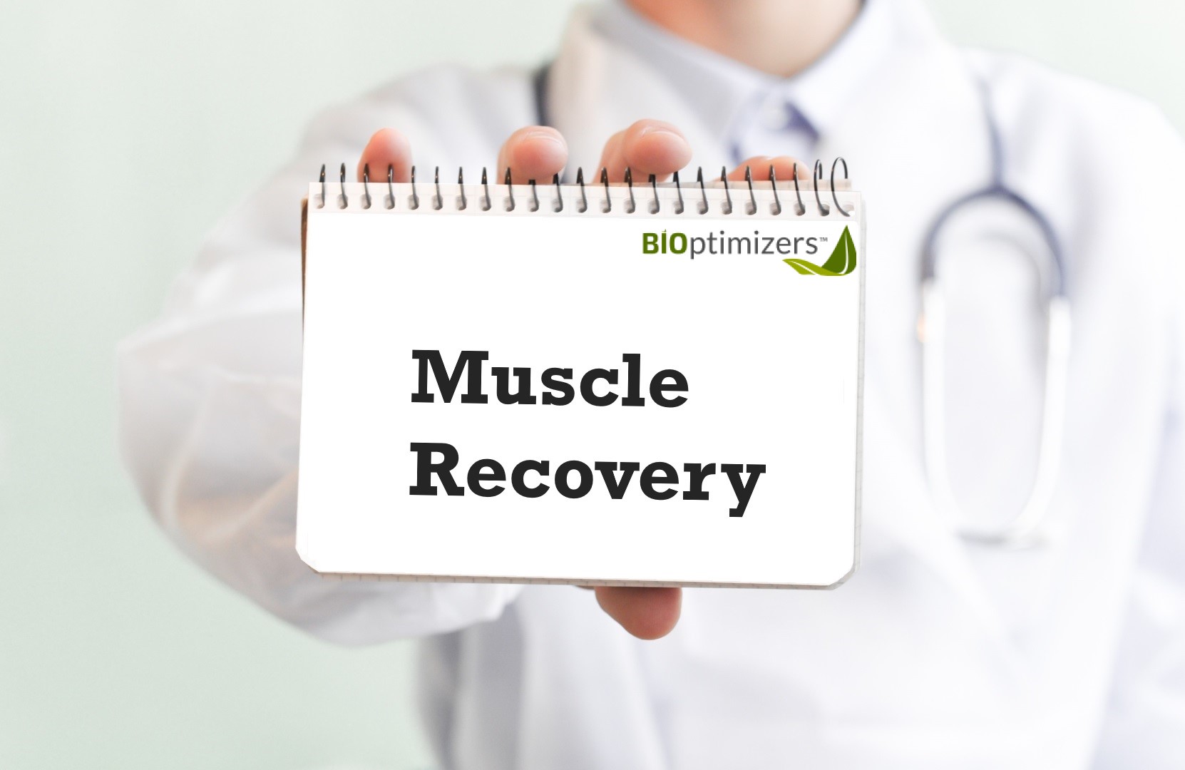 bioptimizers Muscle Recovery supplements