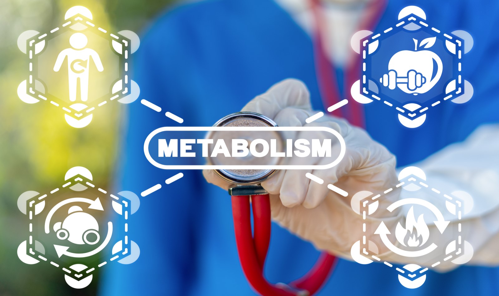 bioptimizers metabolism support