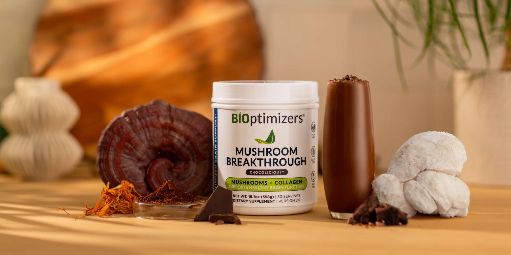 Chocolate Mushroom Breakthrough